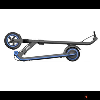 Электросамокат Ninebot eKickScooter Zing E10