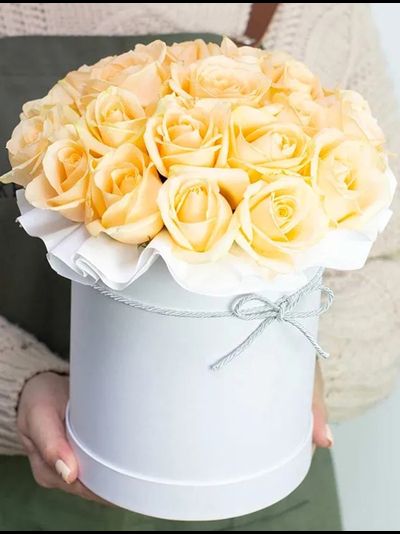 19 персиковых роз в цилиндре