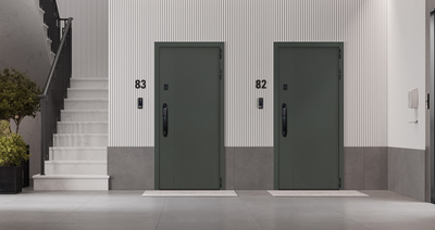 Стальная дверь   Санторини с зеркалом (биометрический замок).