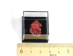 Реальгар в пластиковом боксе, Алтай, Сухонькое №22326