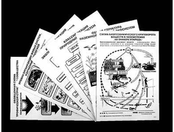 Комплект таблиц по экологии "Экосистема-экологическая единица окружающей среды" (ламинир, А4,12шт)