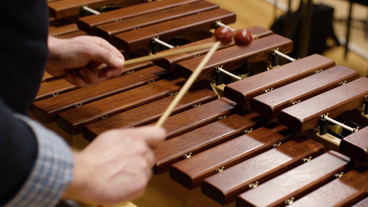 уроки игры на ксилофоне студия музыки