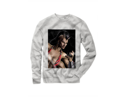 Свитшот Мортал Комбат, Mortal Kombat №52