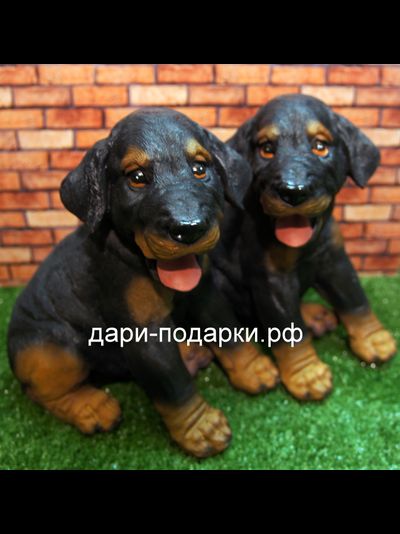 Ротвеллер щенок 24*23см 0,8кг  полистоун пр-во Россия 898-012705