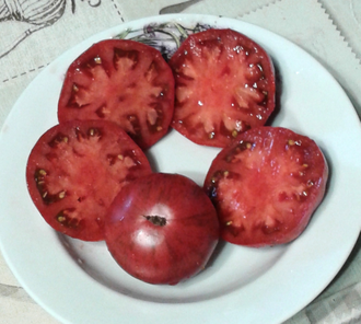 Семена томата Фестиваль Аделаиды Гном