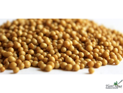 Удобрение Осмокот Экзакт Стандарт 5-6 мес. (100гр)