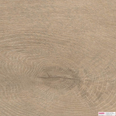 Декор ламината Haro Tritty 100 Дуб Венето кремовый 535261 структура