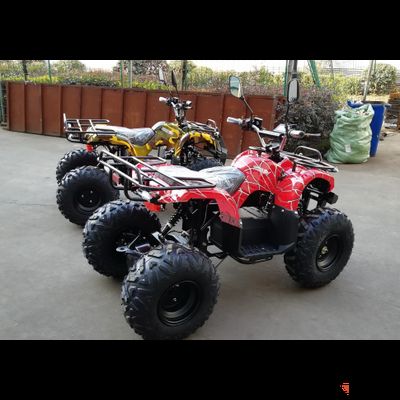 Квадроцикл GreenCamel Atakama T320 (48V 1000W R8 Дифференциал)