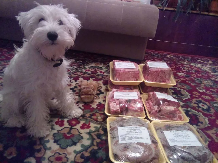 Прелестный Ричард, милашка и большой озорник