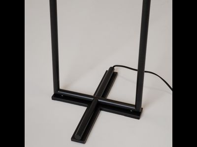 Напольный светильник (торшер) The Sixth Sense, Z020FL-L12BK