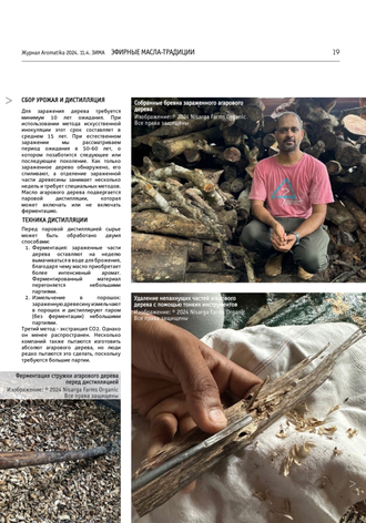 Уд Малазийский (Aquilaria Malaccensis) Индия, 1 г - 100% натуральное эфирное масло