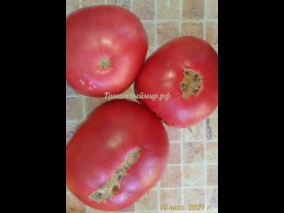 Томат Микадо розовый