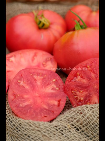 Томат Минусинский Низкий, 10 шт