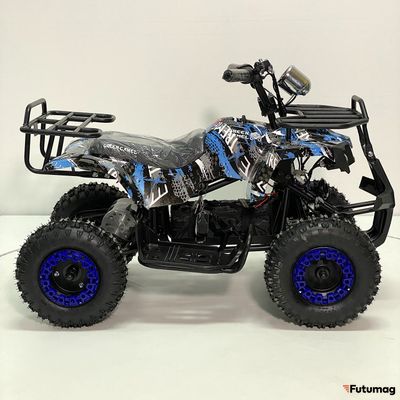 Квадроцикл GreenCamel Gobi K32 (12Ah 36V 1000W R6 Цепь) синий экстрим