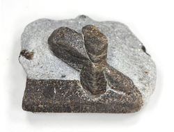 Ставролит, сросток кристаллов "косой крест" на сланце, Россия, Кольский п-ов (43*35*20 мм, 43 г) №26080