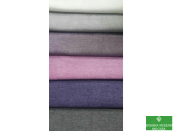 Шенилл Израиль