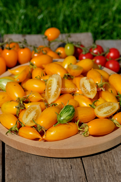 Томат Guinel Yellow (Гуинель жёлтый), 10 шт