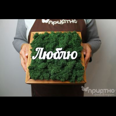 ЖИВАЯ ЭКО-КАРТИНА 1060