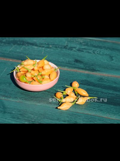 Перец острый Cabacinha Laranja, 10 шт