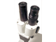 Микроскоп Levenhuk 2ST, бинокулярный стереоскоп