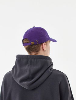 Кепка Anteater 6Panel Фиолетовая фото 3