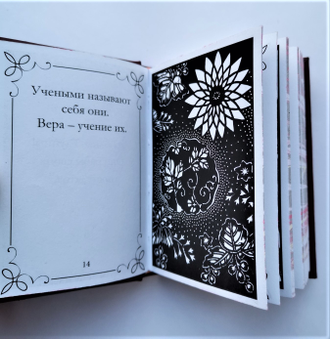 Манабу Абука "Откровение Абсурда"