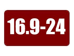 Шины 16.9-24