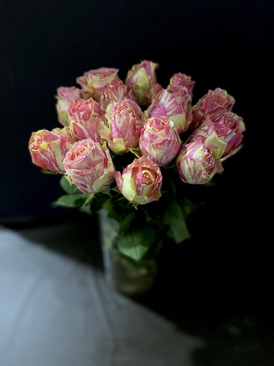 Роза Эквадор 60 см. 15 шт