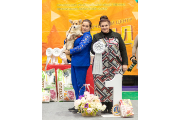 ЛУЧШИЙ ЩЕНОК / BEST IN SHOW PUPPY:   1 место ВЕЛЬШ КОРГИ ПЕМБРОК - ТОП ЛЕДИ АЛИСА