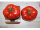 SICILIAN SAUCER (СИЦИЛИЙСКИЙ СОУСНЫЙ)