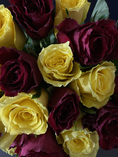 Роза Кения 15 шт