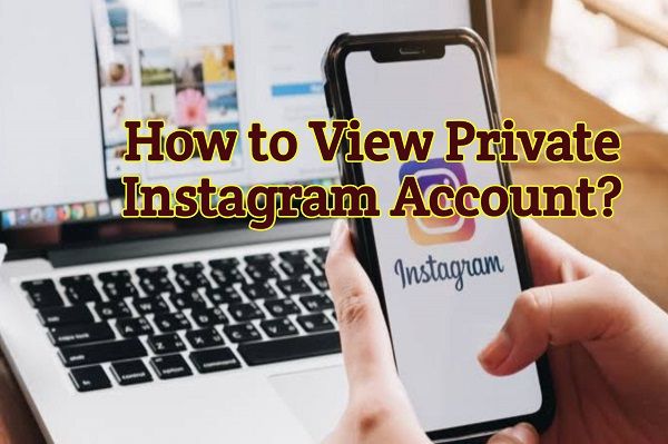 Private Instagram Viewer