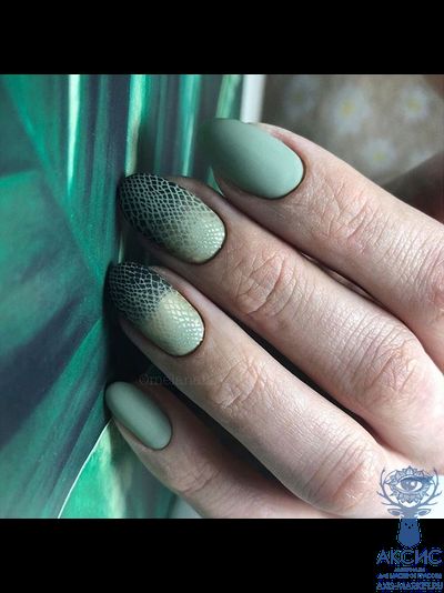 Пластина Swanky Stamping 021