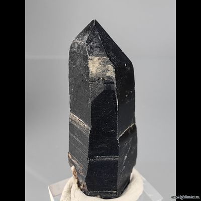 Морион (разн. кварца). Казахстан. 37" 15*11мм