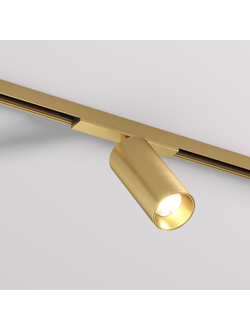 Светильник для трека SHINE SPOT DK5741-SB
