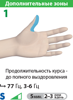 ДЭНАС ПКМ. Зона соответствия Су-Джок