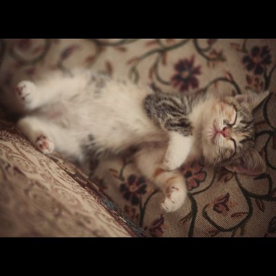 D0115 Сладких снов!