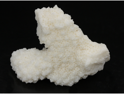 Коралл белый, коллекционный образец, Китай (50*41*22 мм, 23 г) №37697