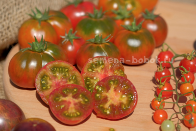 Томат Dwarf Pite Wiper (Гном Пит Вайпер), 10 шт