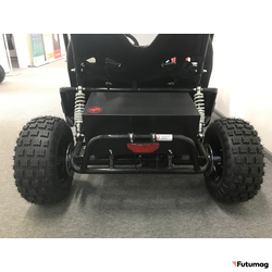 Багги SCANMOTO RAPID II