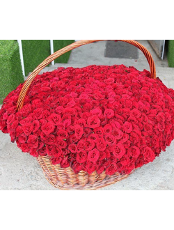 Композиция из 1001 розы