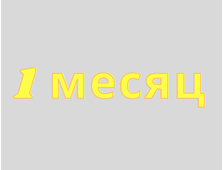 1-й месяц: лечение ишемической болезни сердца, реабилитация после инфаркта и инсульта