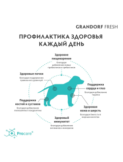 Grandorf Fresh Junior сухой корм для щенков средних и крупных пород с ягненком и бататом, 1 кг