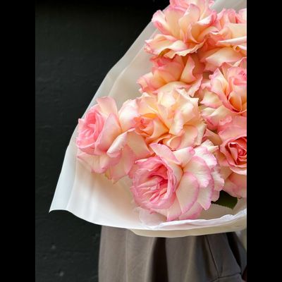 Лучшая на свете