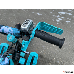 Электроснегокат Elektrosam 60V8AH