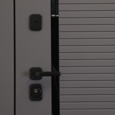 Стальная дверь   Амур. Заказная модель.