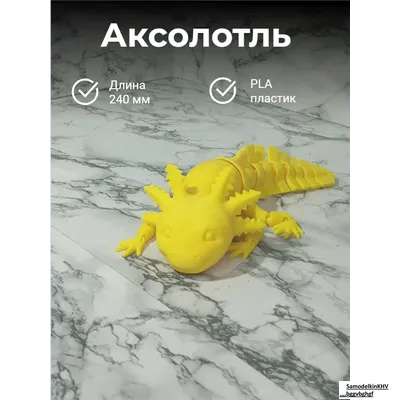 Аксолотль