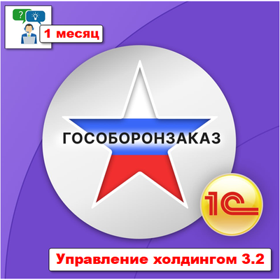 Поддержка: Консультации и сопровождение УХ ПРОФ - 1 месяц