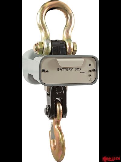 Крановые весы CAS Caston-I 2 THA