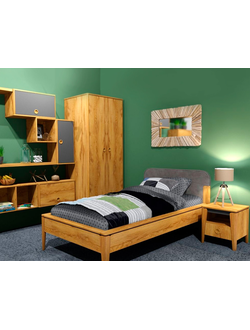 ТЭЛЬ (38 попугаев)